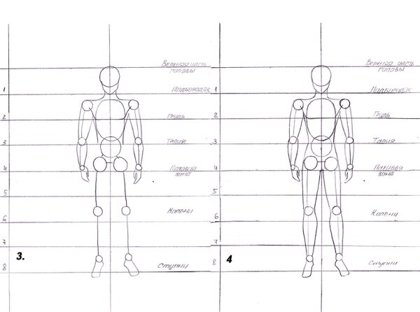 Схема тела человека для рисования