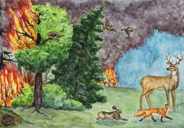 Рисунок на тему Лесные пожары