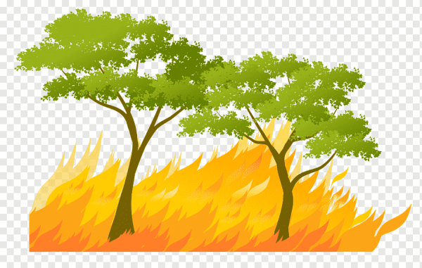 Лесной пожар вектор