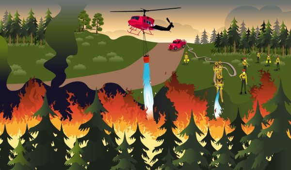 Горящий лес карандашом