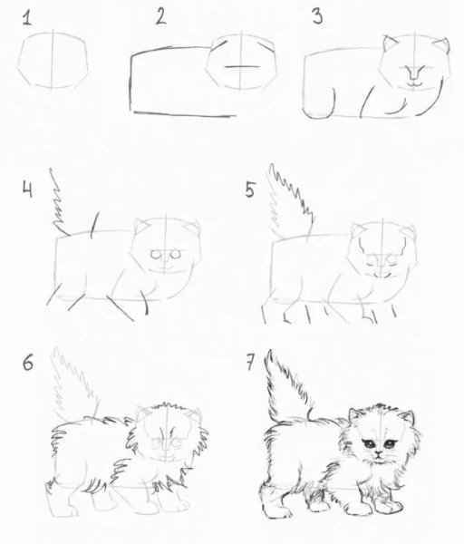 Красивый рисунок инструкция