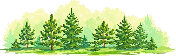 Фон хвойного леса для детей