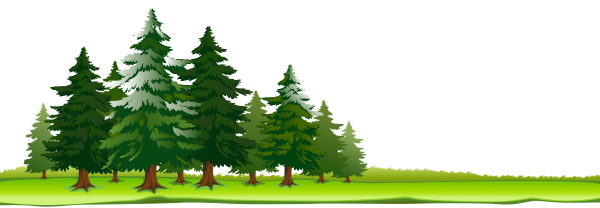 Клипарт лес на прозрачном фоне
