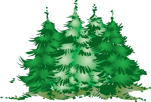 Лес на прозрачном фоне