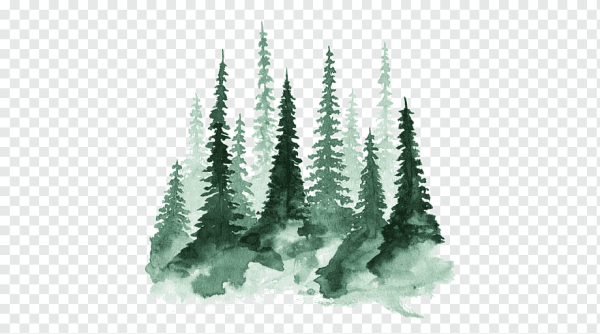 Сосновый лес вектор