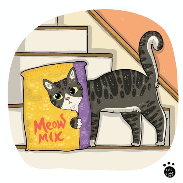 Рисунок красками картон Кэт