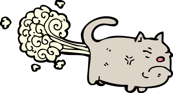 Фотокартон Кэт