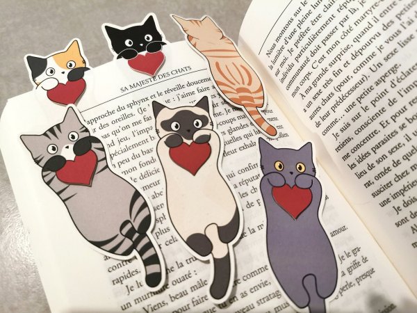 Тонкие коты закладки