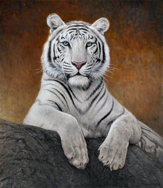 Картина белого тигра