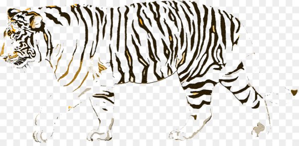 Тигровые полоски