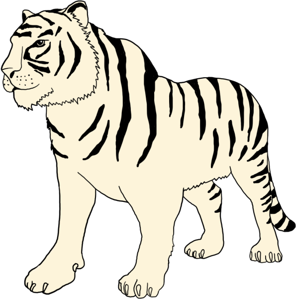 Раскраски тигр тигрята 2022