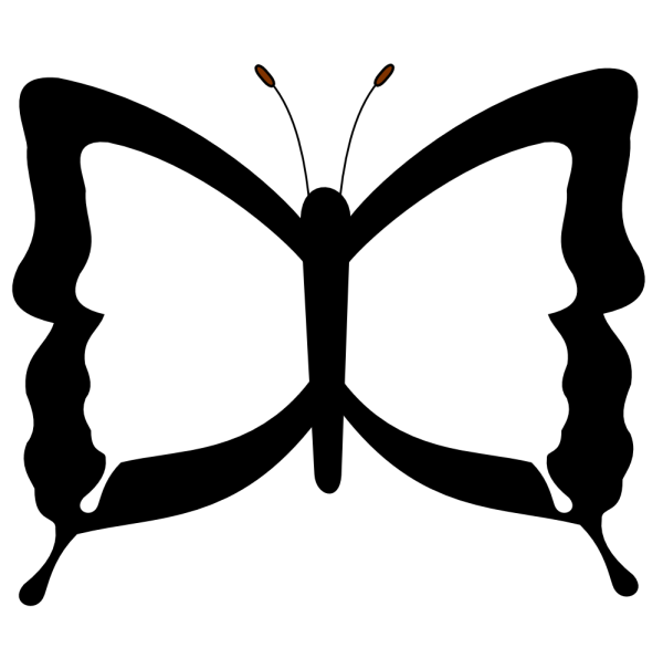 Бабочка черно белая