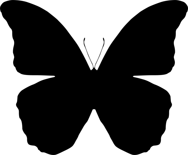 Очертание бабочки