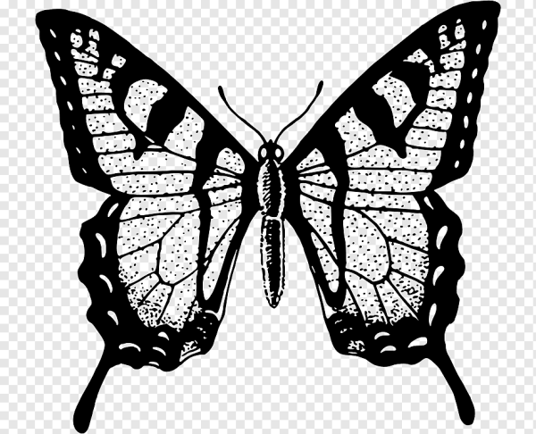 Черно белая баба