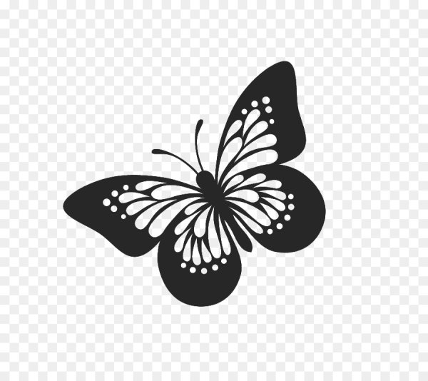 Векторные бабочки