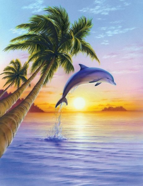 Морской пейзаж с дельфинами