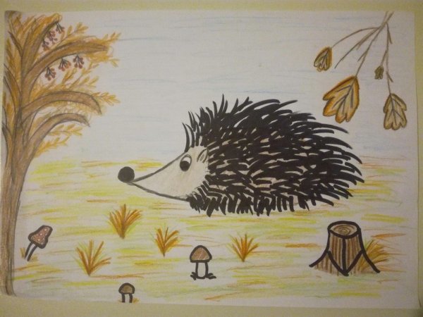 Как нарисовать ежика