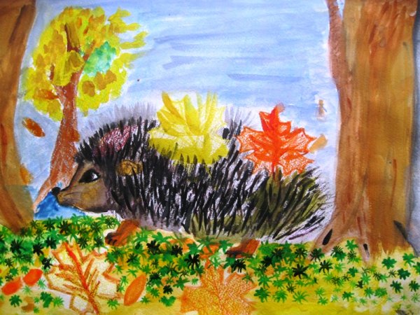 Ежик рисунок