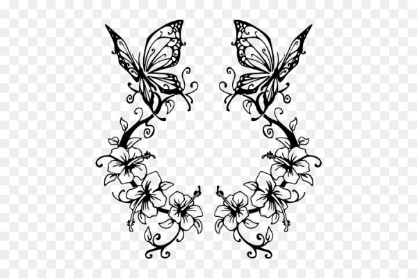 Красивые узоры бабочки