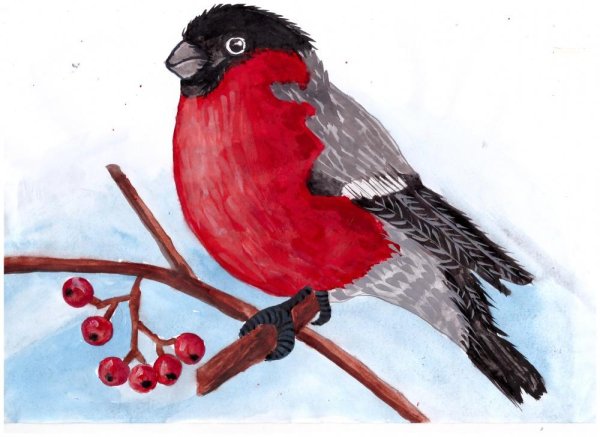 Зимующие птицы Башкортостана