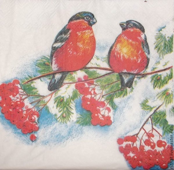 Рисование Снегирь на ветке