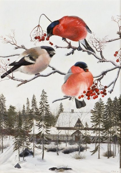 Финский художник Teppo Terä