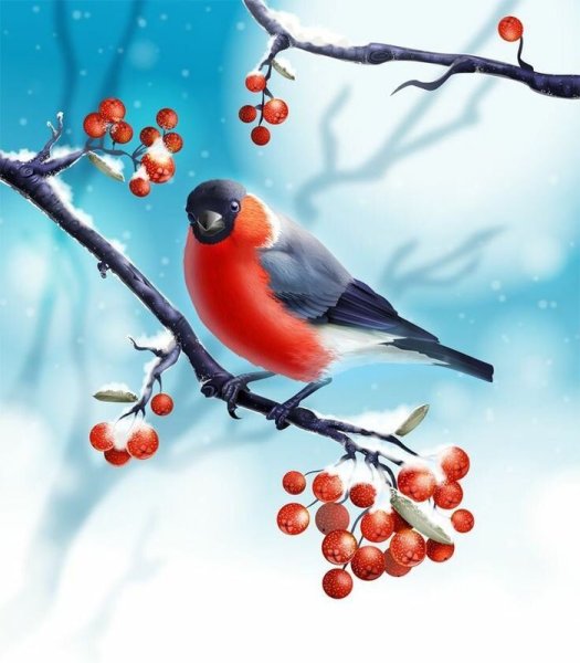 Снегирь арт