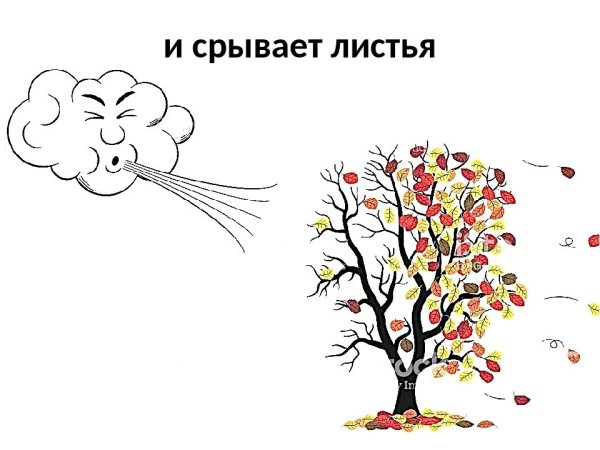 Раскраска сильный ветер для детей