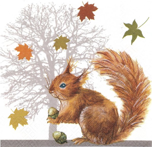 Осенняя иллюстрация с белочкой