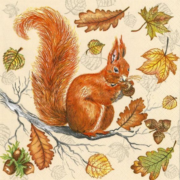 Белка для декупажа