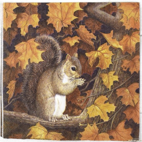 Картина белки осенью