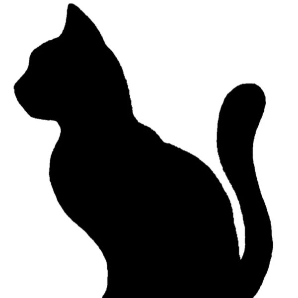 Очертания кошки