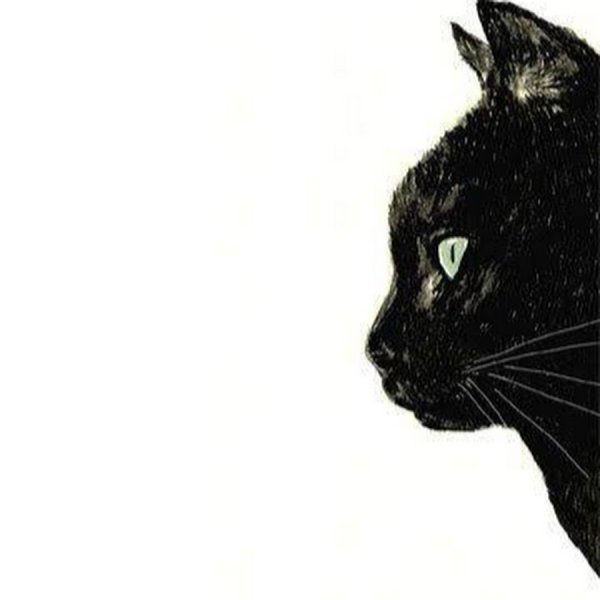 Силуэт морды кота