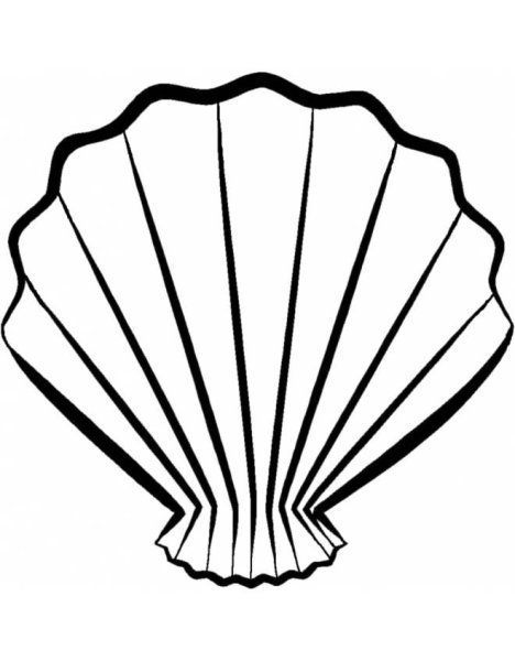 Ракушка раскраска