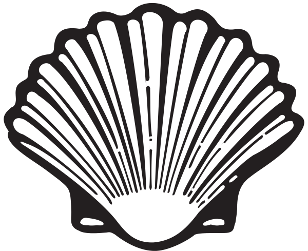 Ракушка гребешок вектор