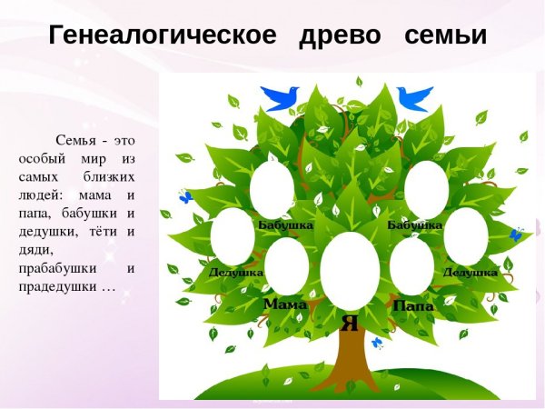 Родословное дерево семьи