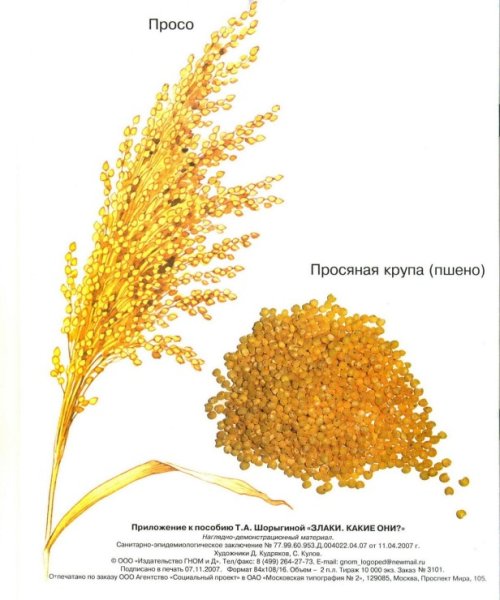 Рисовые колоски для детей