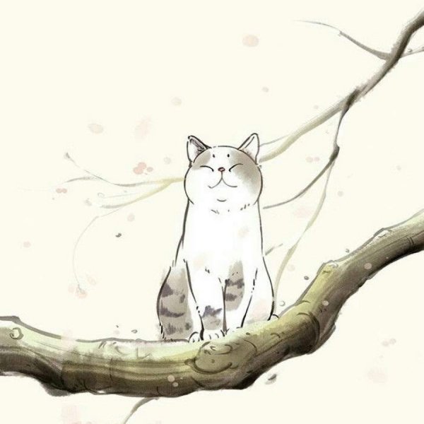 Кот в японском стиле