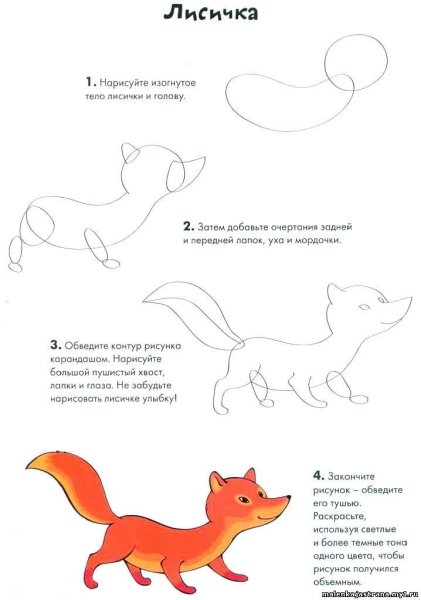 Рисунок лисы для срисовки