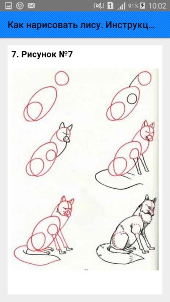 Лиса для срисовки