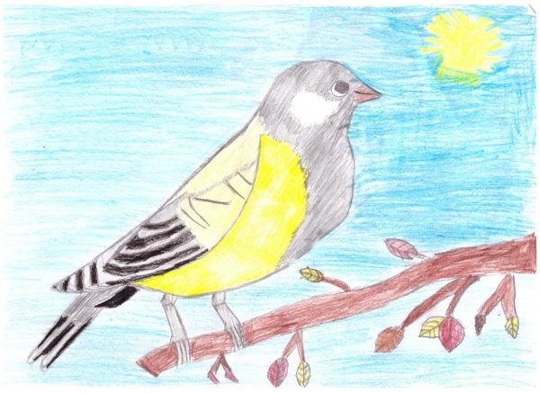 Птичка невеличка рисование