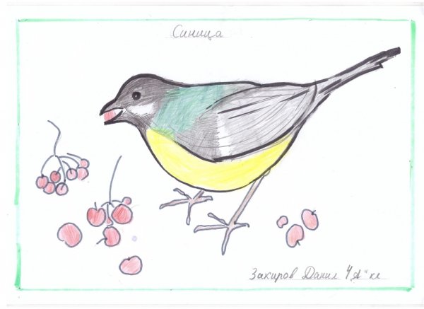 Синичка невеличка рисунок