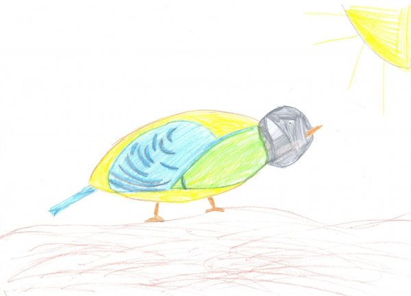 Птичка невеличка рисование