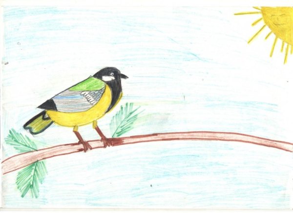 Птичка невеличка рисование