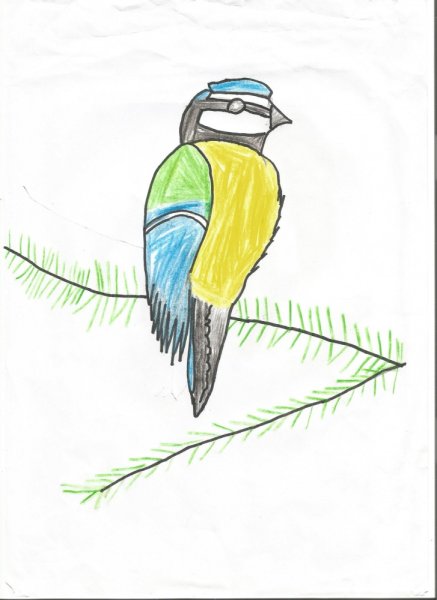 Синичка ладошкой рисование