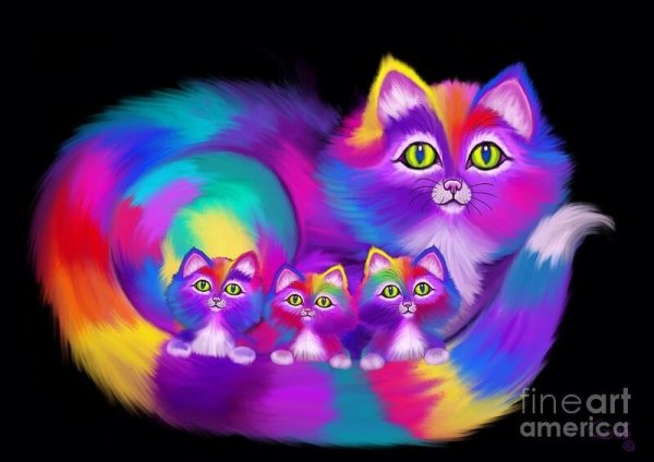 Радужный котэ