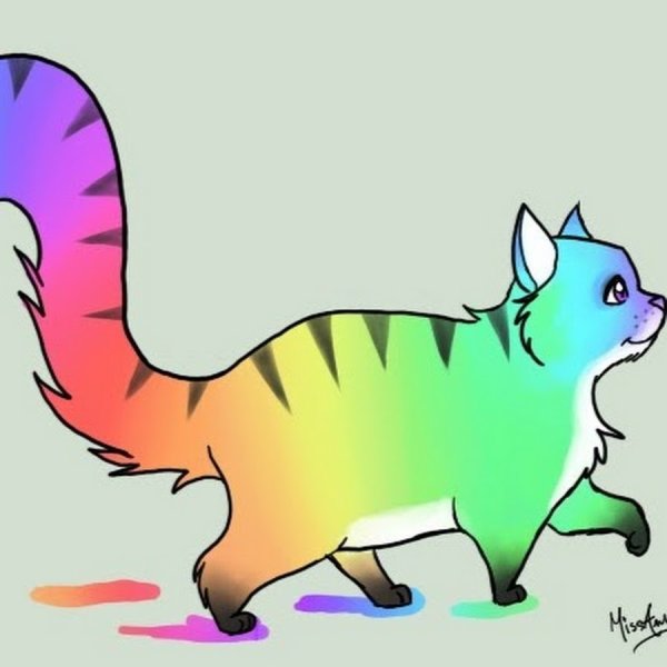 Разноцветный кот