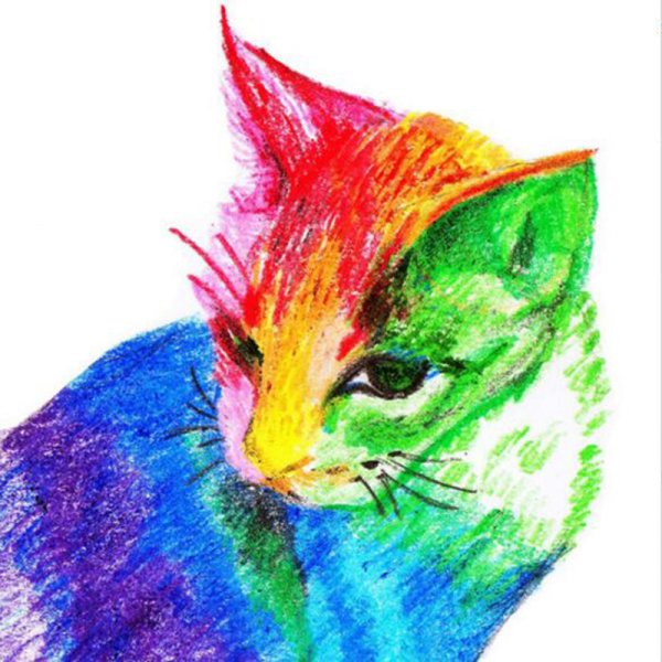 Наркоманский Радужный кот