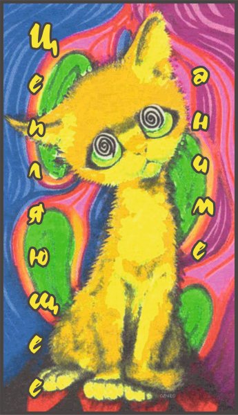 Радужная кошка Единорог