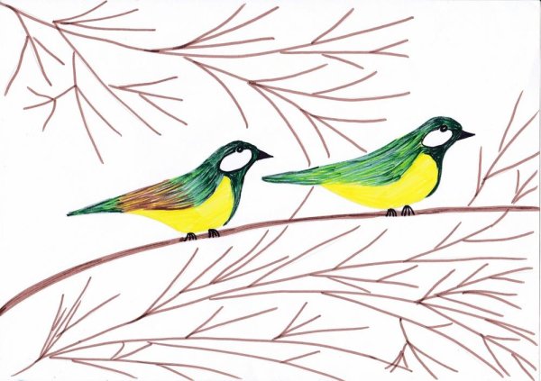 Синичка в детский сад